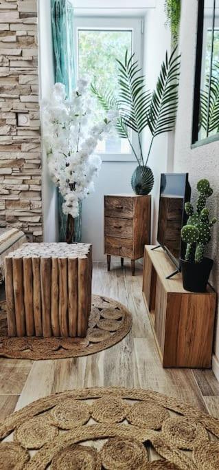 #New#Terrasse Sud Ouest#Pied De La Cite #1 Apartment Carcassonne Exterior photo