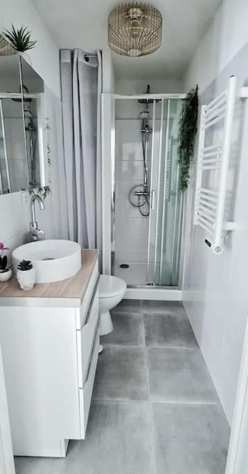 #New#Terrasse Sud Ouest#Pied De La Cite #1 Apartment Carcassonne Exterior photo